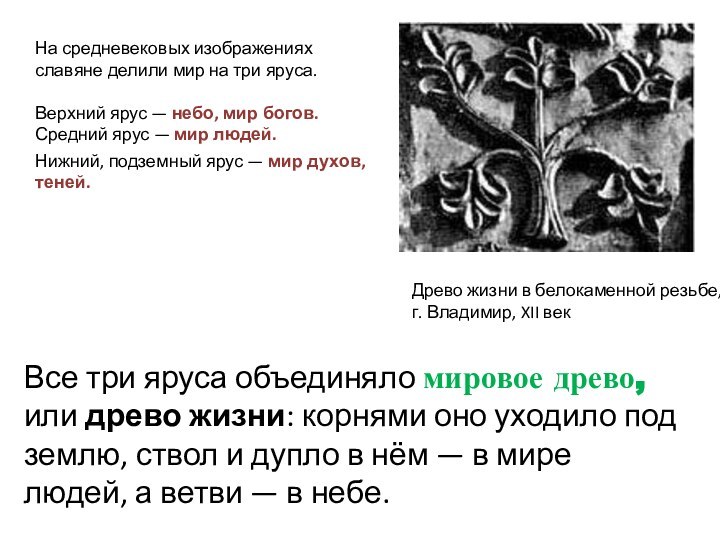 Древо жизни в белокаменной резьбе, г. Владимир, XII векНа средневековых изображениях славяне делили мир