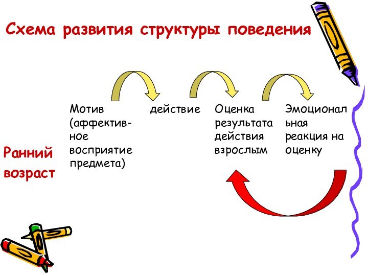 Схема развития структуры поведения