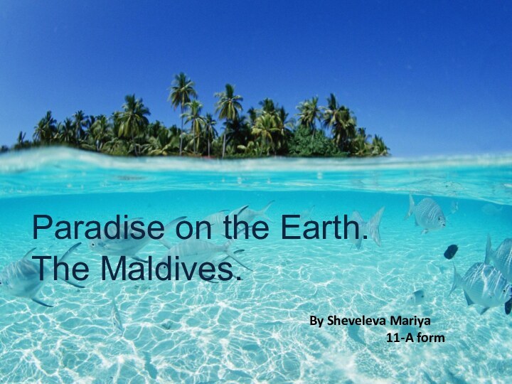 Paradise on the Earth. The Maldives.By Sheveleva Mariya