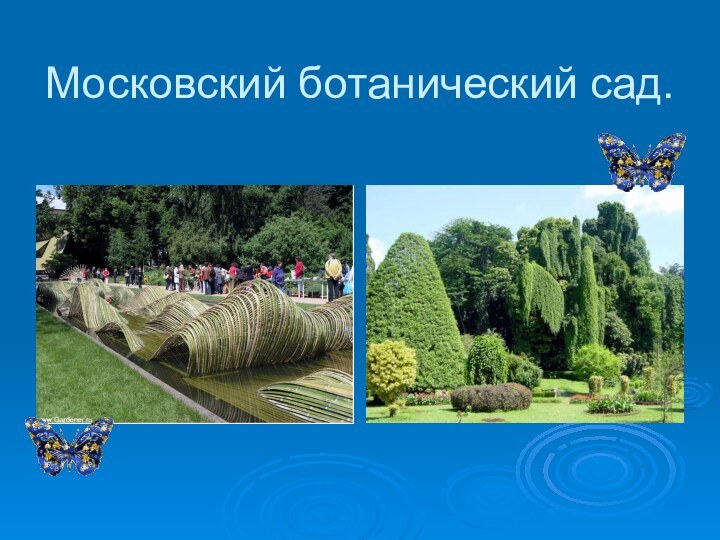 Московский ботанический сад.