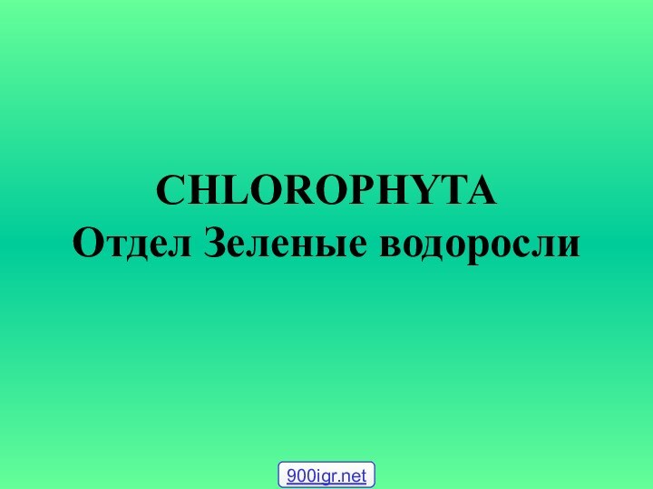 CHLOROPHYTA Отдел Зеленые водоросли