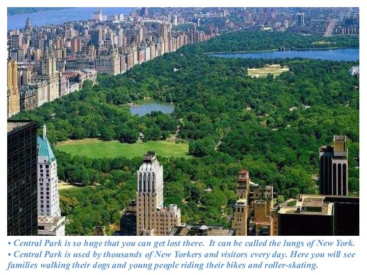 • Central Park is so huge that you can get lost there.