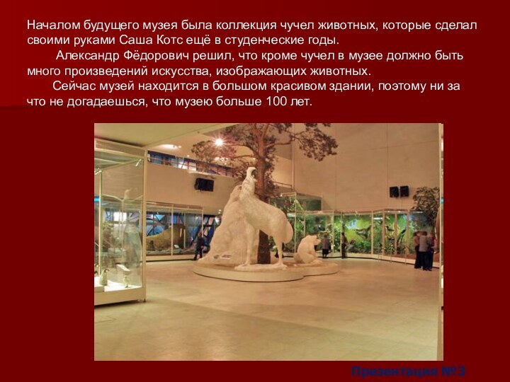 Началом будущего музея была коллекция чучел животных, которые сделал своими руками Саша