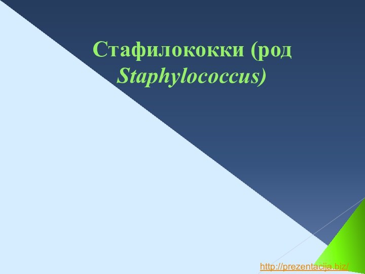 Стафилококки (род Staphylococcus)http://prezentacija.biz/