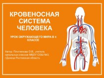 Презентация Кровеносная система человека