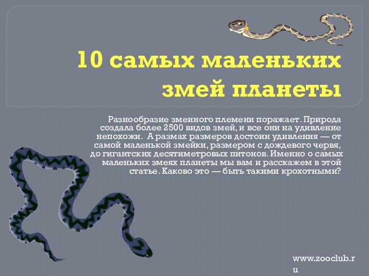 10 самых маленьких змей планетыРазнообразие змеиного племени поражает. Природа создала более 2500