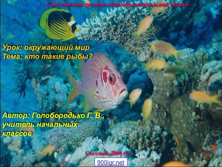 Светловская средняя общеобразовательная школаСветлый, 2008 годУрок: окружающий мир Тема: кто такие рыбы?Автор: