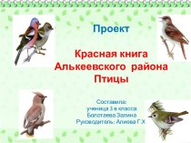 Красная книга Алькеевского района. Птицы