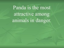 Panda is the most attractive among animals in danger