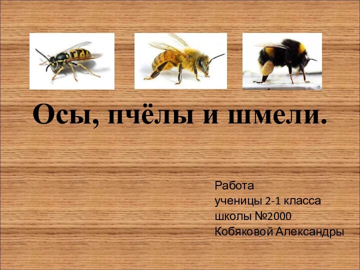 Осы, пчёлы и шмели.Работа ученицы 2-1 классашколы №2000Кобяковой Александры