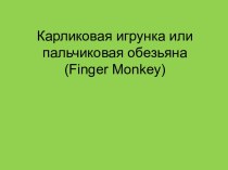 Карликовая игрунка или пальчиковая обезьяна (Finger Monkey)