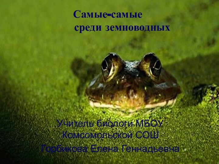 Самые-самые      среди земноводныхУчитель биологи МБОУ Комсомольской СОШГорбикова Елена Геннадьевна