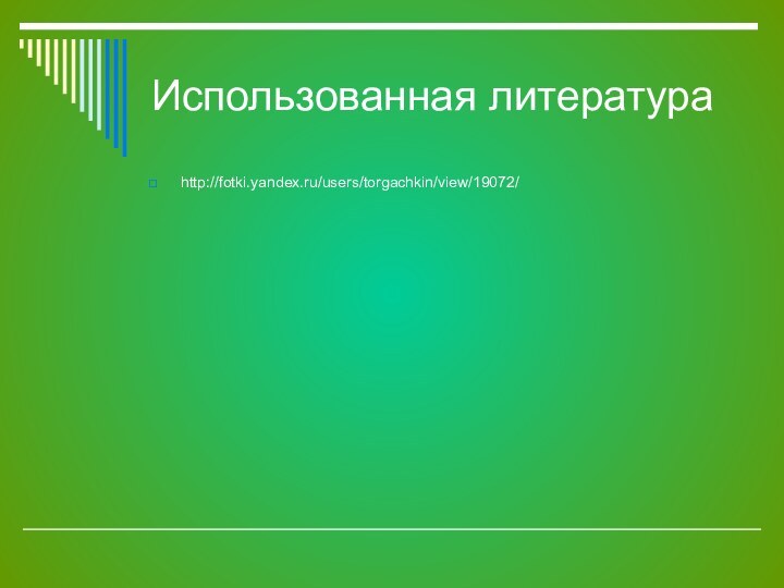 Использованная литератураhttp://fotki.yandex.ru/users/torgachkin/view/19072/