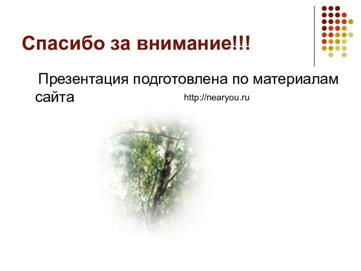 Спасибо за внимание!!!  Презентация подготовлена по материалам сайта http://nearyou.ru