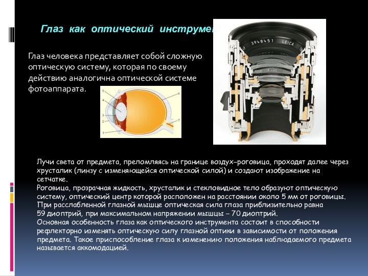 Глаз как оптический инструментГлаз человека представляет собой сложную оптическую систему, которая по