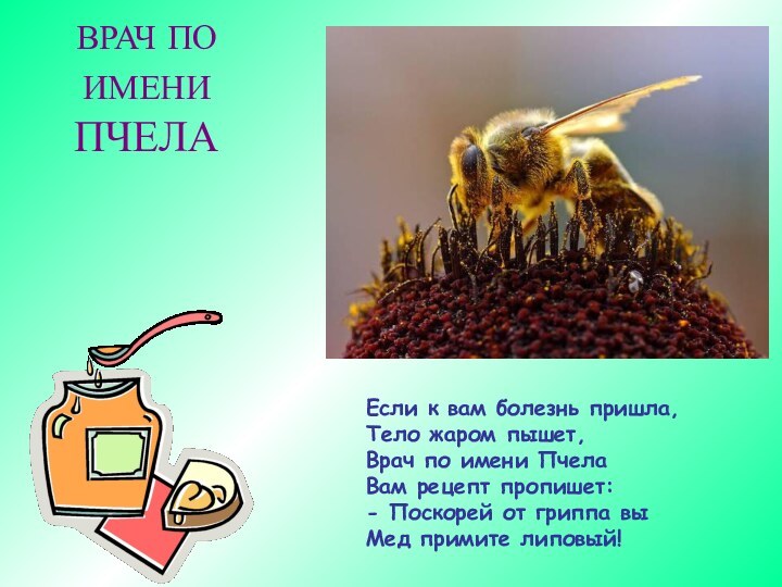 Если к вам болезнь пришла, Тело жаром пышет, Врач по имени Пчела