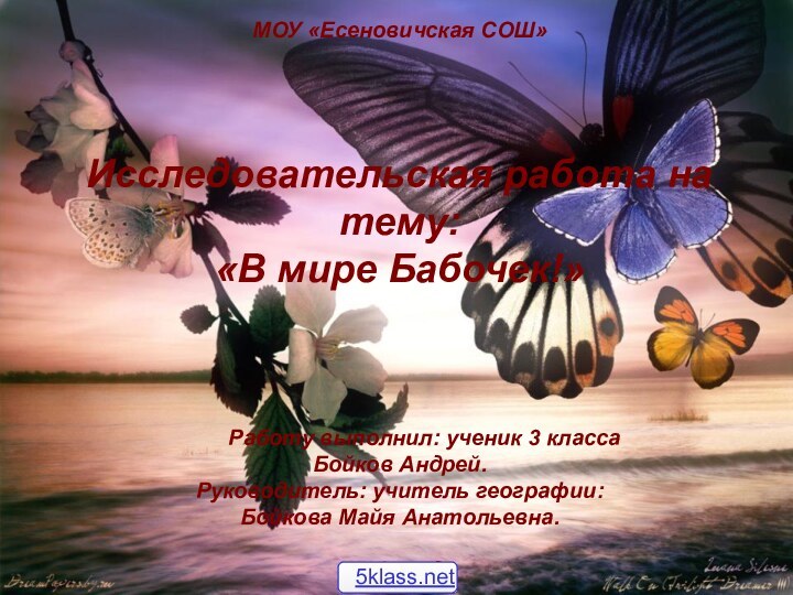 МОУ «Есеновичская СОШ»Исследовательская работа на тему: «В мире Бабочек!»