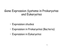 Gene Expression Systems in Prokaryotes and Eukaryotes