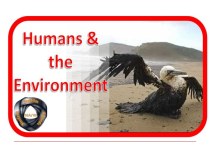 Humans & the environment