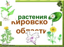 Охраняемые растения Кировской области