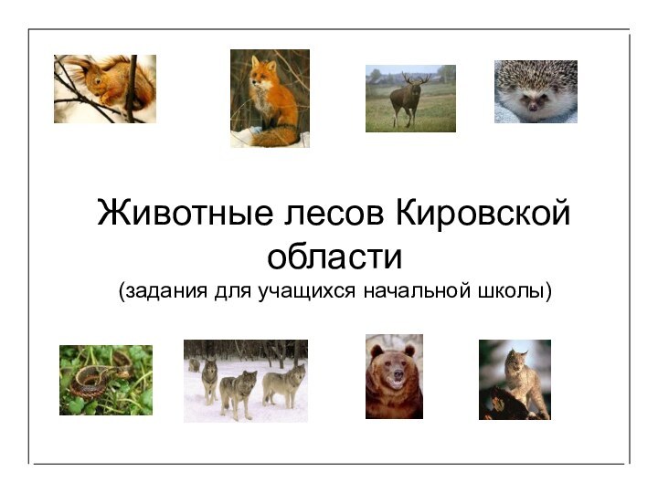 Животные лесов Кировской области (задания для учащихся начальной школы)