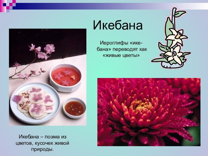 Икебана Икебана – поэма из цветов, кусочек живой природы. Иероглифы «ике-бана» переводят как «живые цветы»