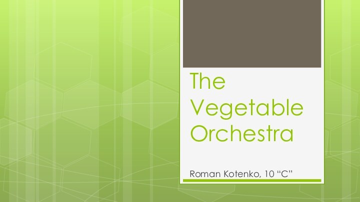 The Vegetable OrchestraRoman Kotenko, 10 “C”