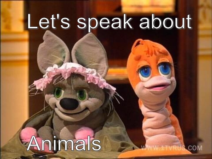 Let's speak about          Animals