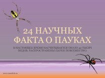 24 интересных фактов о пауках