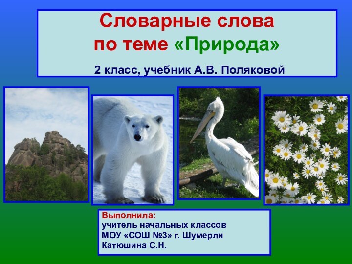 Словарные слова  по теме «Природа»  2 класс, учебник А.В. ПоляковойВыполнила: