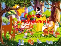 Группа ГНОМИКИ детский сад Теремок (МАДОУ д/с №24, г. Хабаровск)