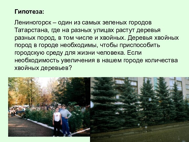 Гипотеза: Лениногорск – один из самых зеленых городов Татарстана, где на разных