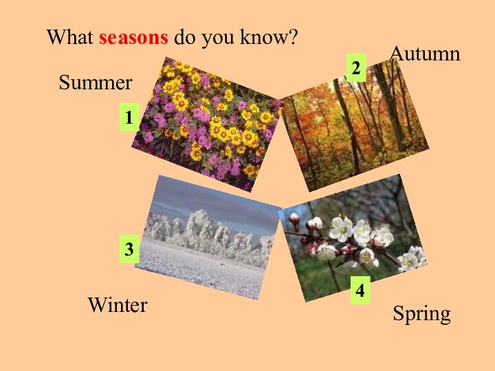 SummerAutumnWinterSpringWhat seasons do you know?1234