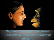 Сходство человека и человекоподобных обезьян
