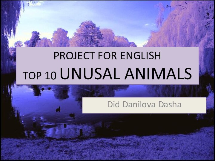 project for English TOP 10 UNUSAL ANIMALS Did Danilova Dasha