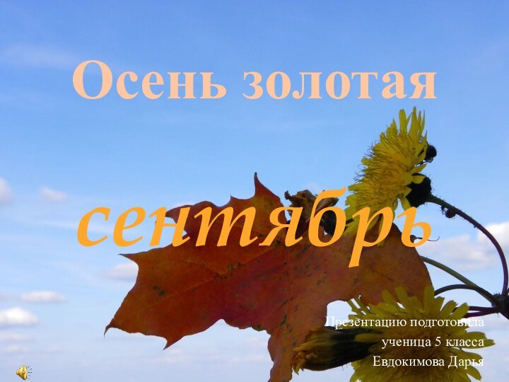 Осень золотая  сентябрь  Презентацию подготовила ученица 5 класса Евдокимова Дарья