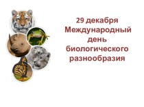 29 декабря - Международный день биологического разнообразия