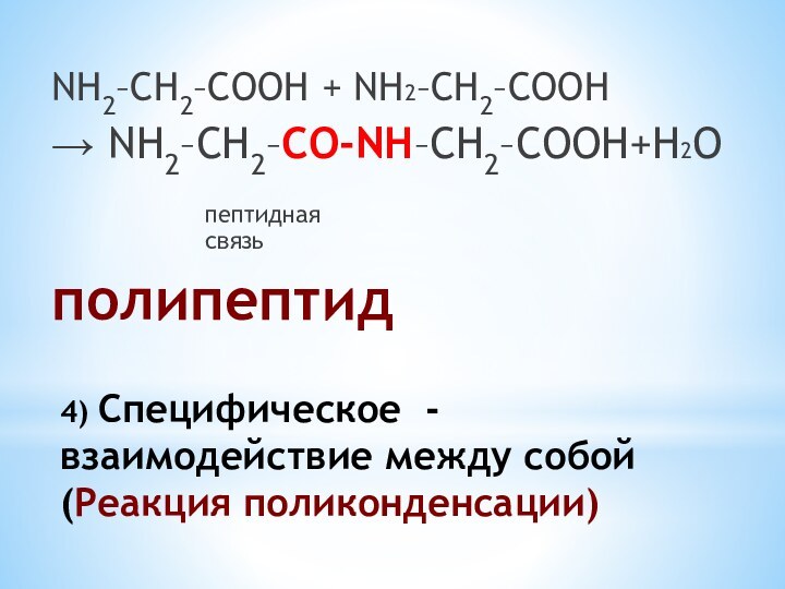 4) Специфическое - взаимодействие между собой (Реакция поликонденсации)  NH2–CH2–COOH + NH2–CH2–COOH→