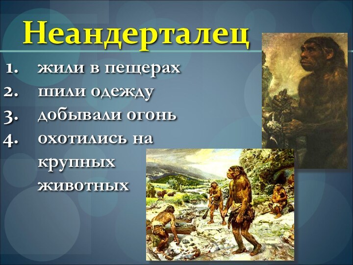 Неандерталец жили в пещерахшили одеждудобывали огоньохотились на крупных животных