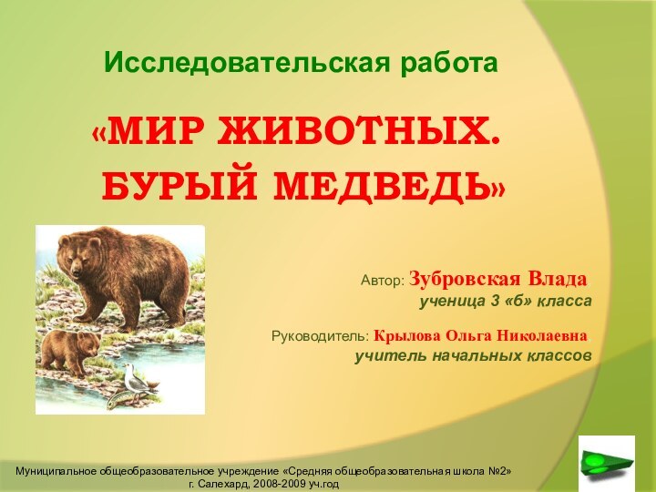 «Мир животных.   Бурый медведь»Исследовательская работаМуниципальное общеобразовательное учреждение «Средняя