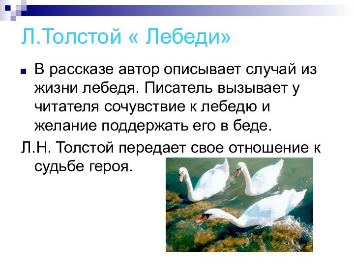 Л.Толстой « Лебеди»В рассказе автор описывает случай из жизни лебедя. Писатель
