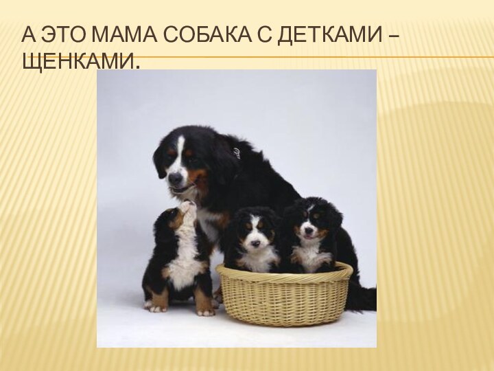 А это мама Собака с детками – щенками.