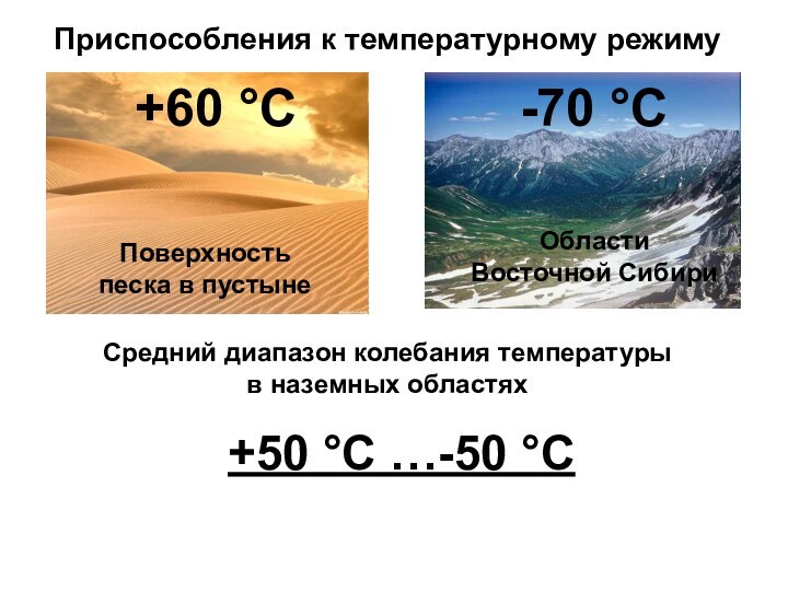 Приспособления к температурному режиму+60 °С-70 °СПоверхность песка в пустынеОбласти Восточной СибириСредний диапазон