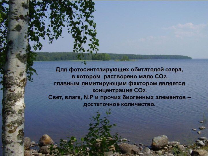 Для фотосинтезирующих обитателей озера, в котором растворено мало СО2,главным лимитирующим фактором является