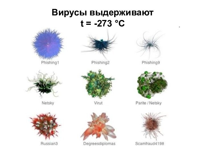 Вирусы выдерживаютt = -273 °С