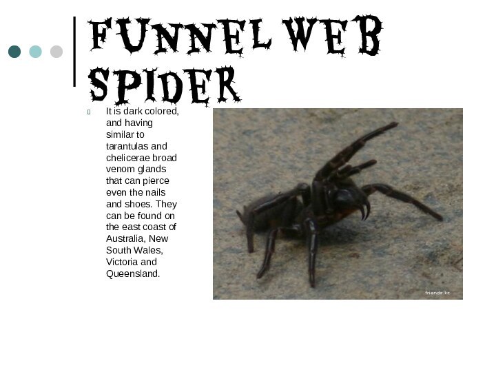 Funnel Web SpiderIt is dark colored, and having similar to tarantulas and