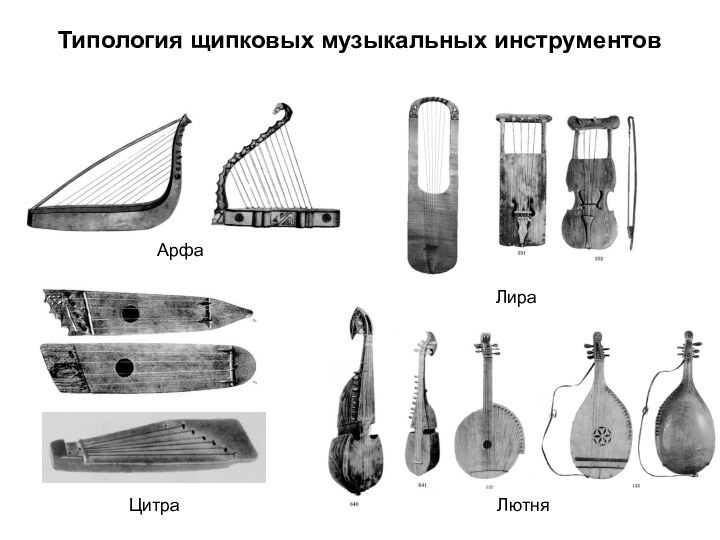 Типология щипковых музыкальных инструментовАрфаЦитраЛираЛютня