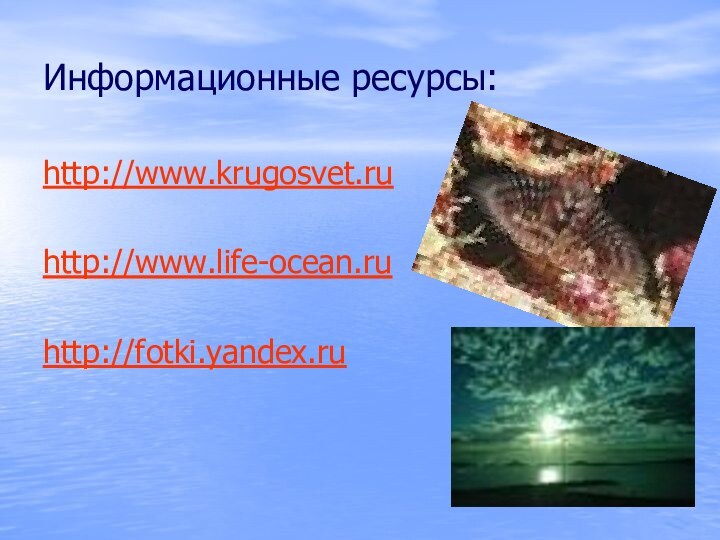 Информационные ресурсы:http://www.krugosvet.ruhttp://www.life-ocean.ruhttp://fotki.yandex.ru