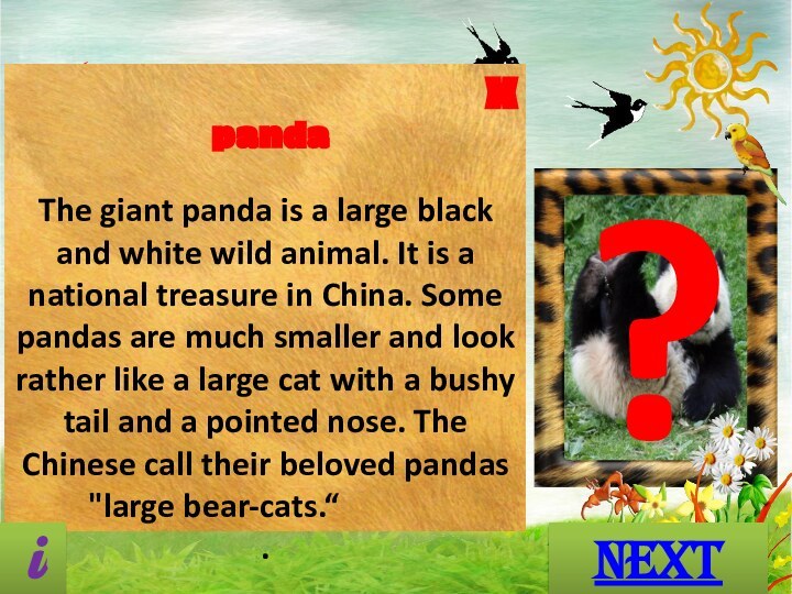 ?What is this       animal?GUESS?PANDANEXTiX