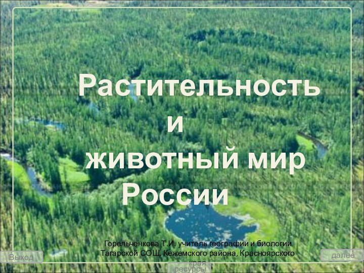 Растительность и    животный мир РоссииГорельченкова
